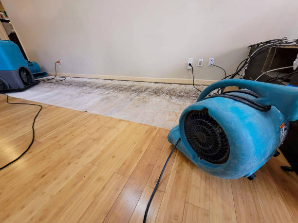Professional Flood Damage Cleanup technician working in Paoli, PA